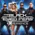 Joc Nintendo Wii The Black Eyed Peas Experience - E